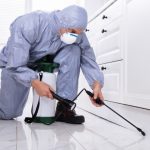 Pest Wars Winning the Battle Against Household Pests