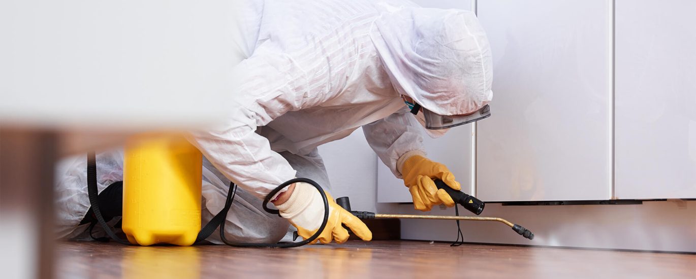 Residential Pest Control Services: Ensuring a Pest-Free Living Environment for Your Family