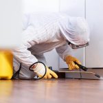 Residential Pest Control Services: Ensuring a Pest-Free Living Environment for Your Family