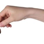 Reliable Cockroach Control Professionals in Sydney